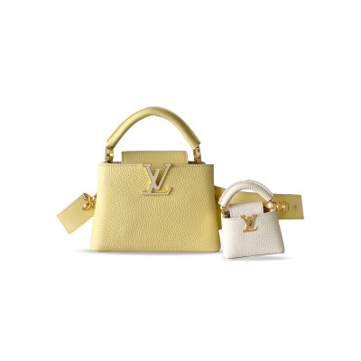 LOUIS VUITTON CAPUCINES MINI M21420 (21*14*8cm)